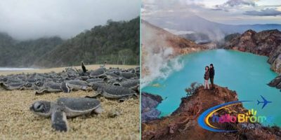 3 Days Tour from Bali to Ijen Crater and Sukamade Turtle Beach